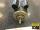 images/ProductImages/13HP1800RPM56FRCentury (2).jpg