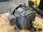 images/ProductImages/3HP1800RPM213YFR (3).jpg