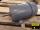images/ProductImages/75HP1200RPM143TFR (4).jpg