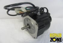 Hachi TS4144N11E36